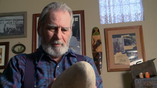 David's Dinosaur Bild 4