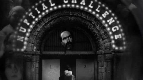 Stump the Guesser Bild 2