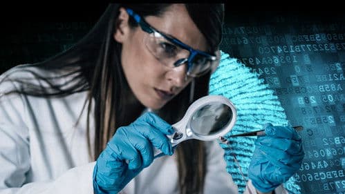 Forensic Justice Bild 1