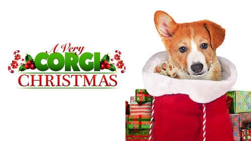 A Very Corgi Christmas - Liebe auf vier Pfoten Bild 4