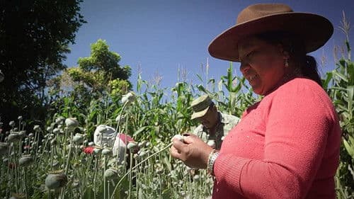 Les vrais Narcos Bild 1