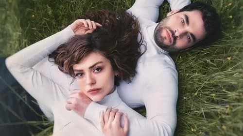 Yaban Çiçekleri Bild 1