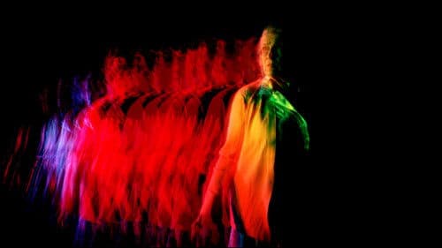 The Order of the Orchid Bild 1