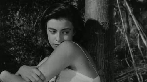 Totò e Carolina Bild 4