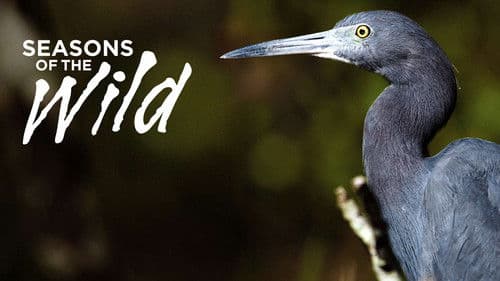 Die Jahreszeiten in der Wildnis Bild 3