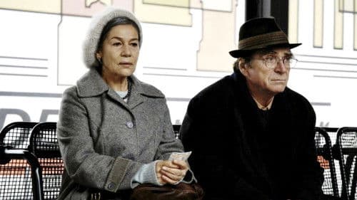 Kirschblüten - Hanami Bild 3