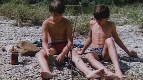 Sojky v hlave Bild 1