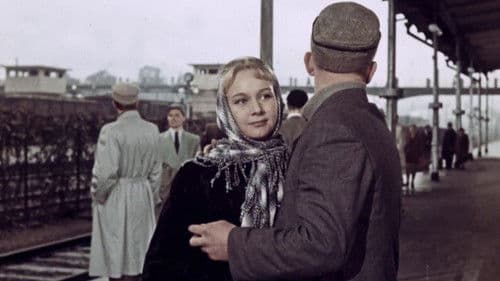 Красные листья Bild 1