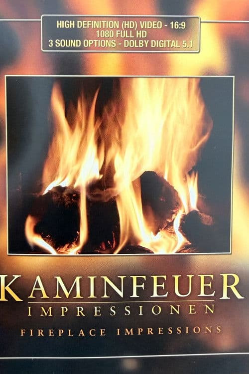 Kaminfeuer Impressionen