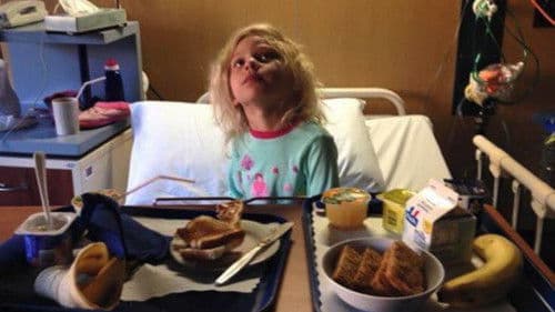 The Diabetes Solution Bild 1