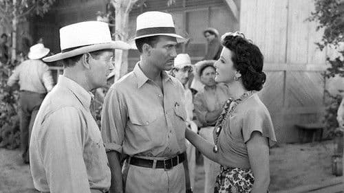 Flucht in die Tropen Bild 3