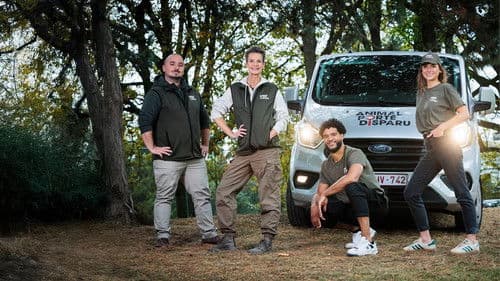 Animal porté disparu Bild 1