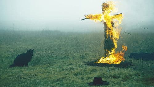 破碎太阳之心 Bild 2