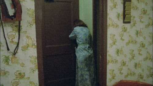 Billy in the Lowlands Bild 3