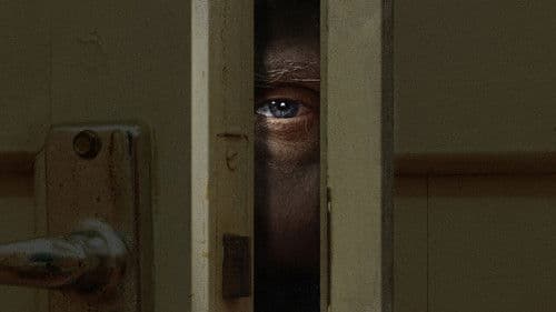 Der schlimmste Mitbewohner aller Zeiten Bild 2