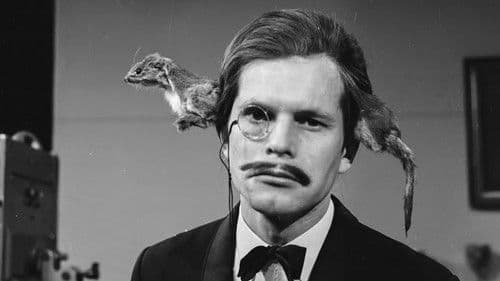 Le cinéma de Terry Gilliam - L’imagination au pouvoir Bild 5