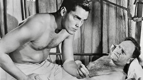 Sailor of the King Bild 3