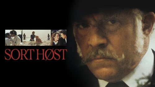 Schwarze Ernte Bild 1