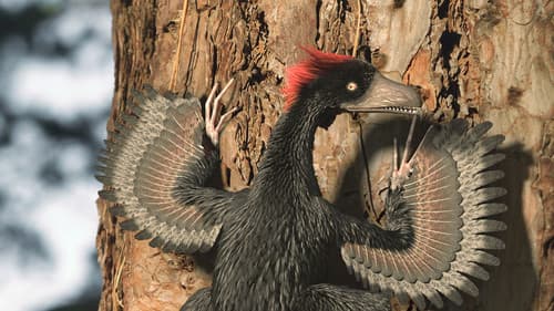 Ausgelöscht - Das Ende der Dinosaurier Bild 1