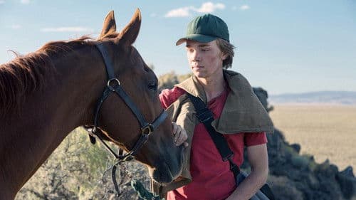 Lean on Pete Bild 4