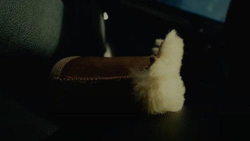 Галбингаа Bild 1