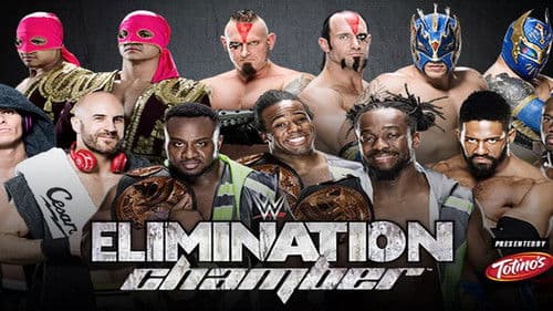 WWE Elimination Chamber 2015 Bild 3
