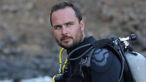 Great White Open Ocean Bild 1