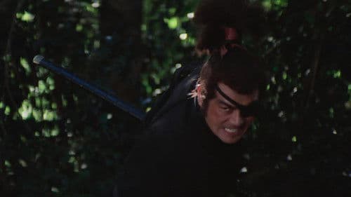 Im Schatten des Shogun Bild 5