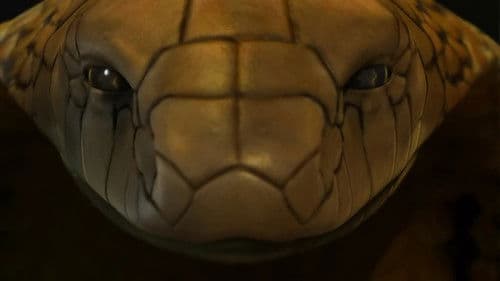 Treasure Buddies - Schatzschnüffler in Ägypten Bild 4