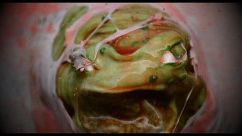 Battle Jacket Bild 2