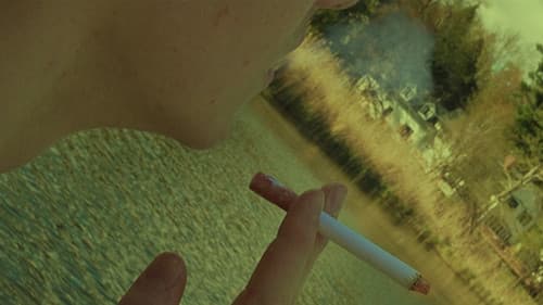 The Money Boys Bild 4