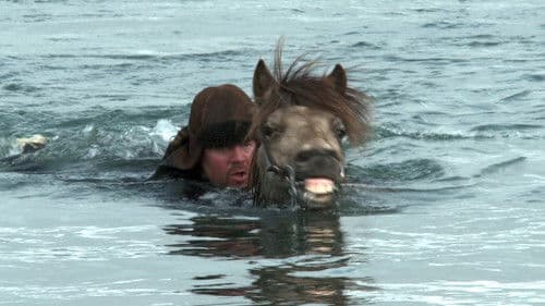 Von Menschen und Pferden Bild 5