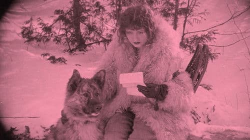 A Virgin's Sacrifice Bild 2