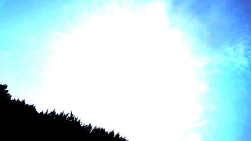 Devolution / A.K.A. Rest In Peace Bild 3