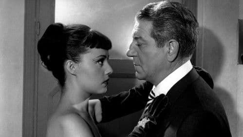 Wenn es Nacht wird in Paris Bild 4