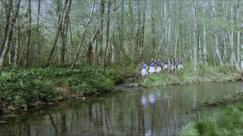 Sechs Schwedinnen von der Tankstelle Bild 5