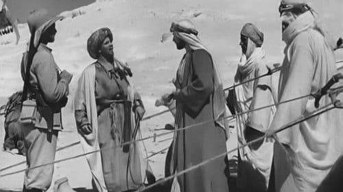 Durch die Wüste Bild 1