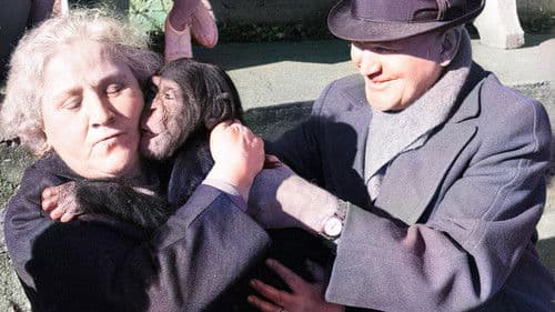 Land des Schweigens und der Dunkelheit Bild 1