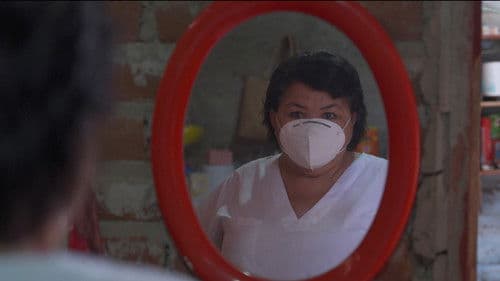 Ciclo de Vida Bild 1