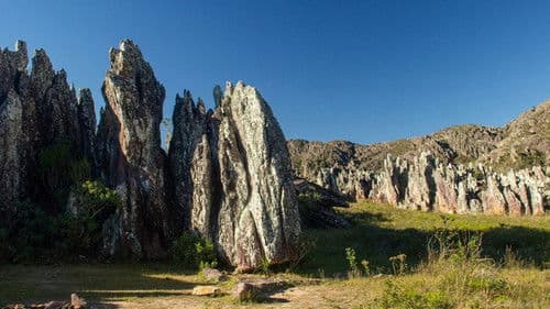 Música à Beira do Mundo Bild 1