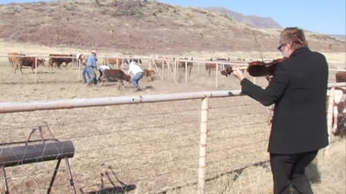 Star Whackers Bild 1