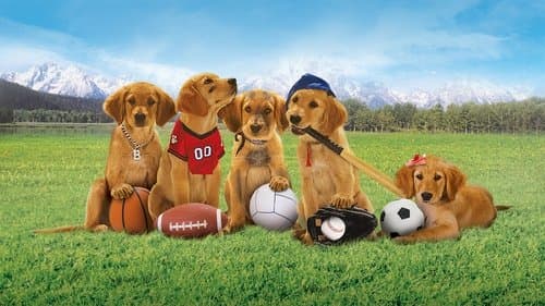 Air Buddies - Die Welpen sind los Bild 1