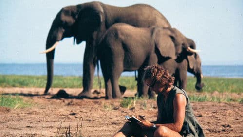 Ein Leben unter Elefanten Bild 3