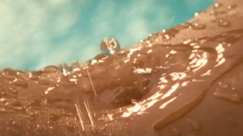 Playboy: Wet & Wild V Bild 1