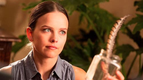 Always Woodstock Bild 2