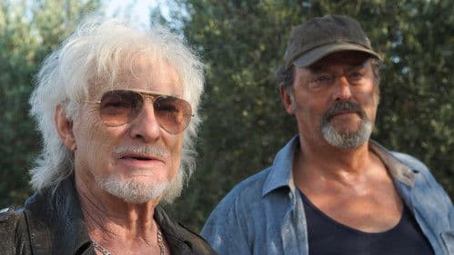 Ein Sommer in der Provence Bild 8