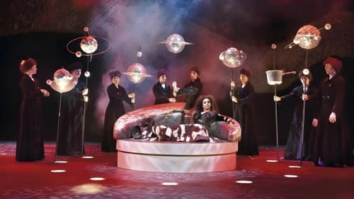 TiTa Tovenaar De Musical Bild 6
