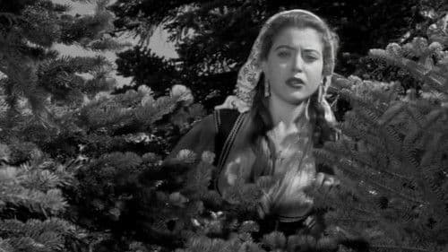 Μαρία Πενταγιώτισσα Bild 4