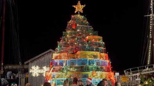 Christmas Island Bild 7