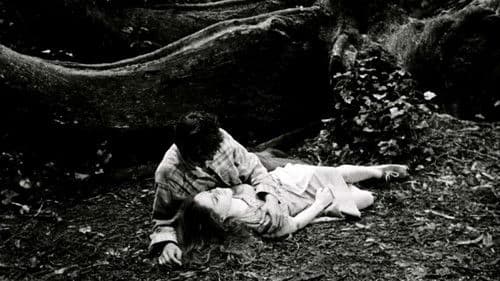 Frágil Como o Mundo Bild 2